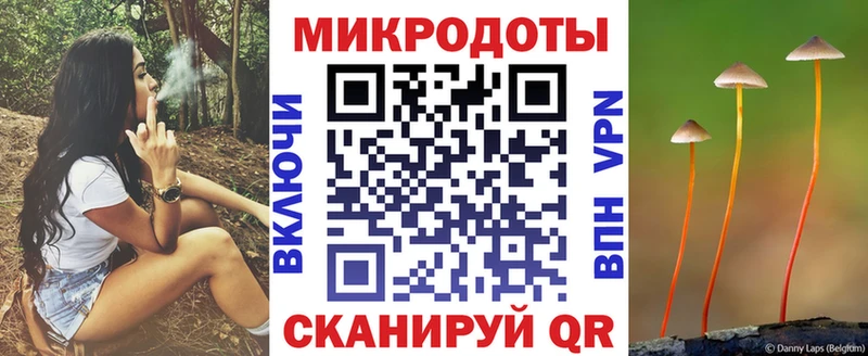 Галлюциногенные грибы Psilocybine cubensis  Купить закладки  Покров 